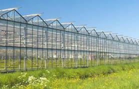 SERRE AGRICOLE