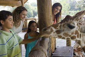ZOO